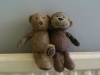 Teddy and Monkey Photo
