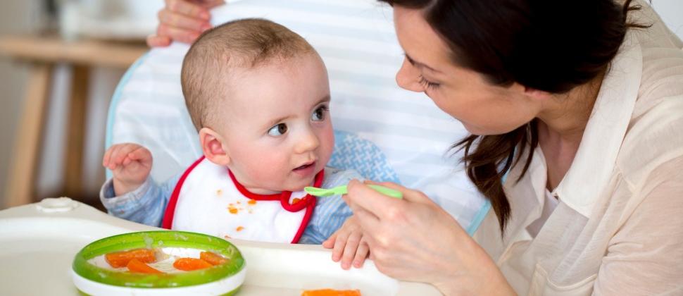 Introducing Solids Online Workshop Plymouth And West Devon Nct