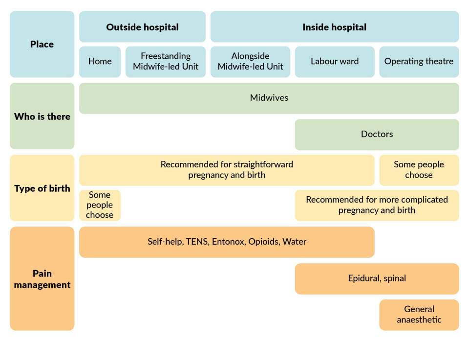 Graphic summarising text in the rest of article