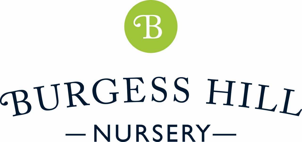 Logo for Burgess Hill Nursery