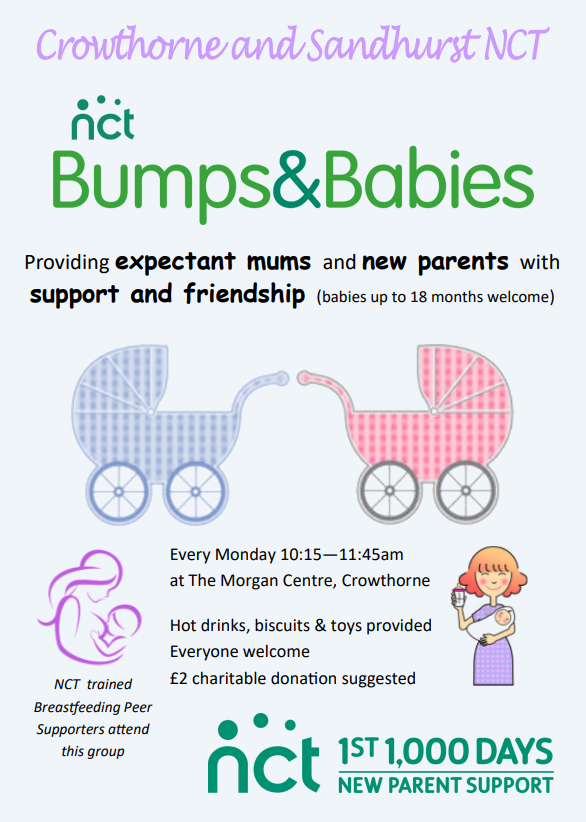 Bumps and Babies image