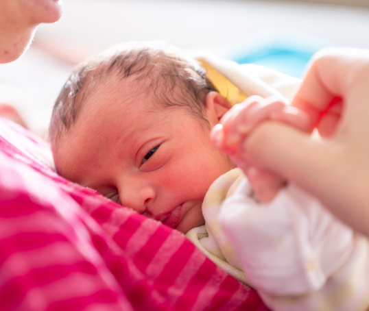 Newborn baby resting on mum