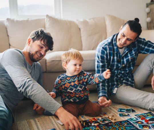 Two fathers playing with a child