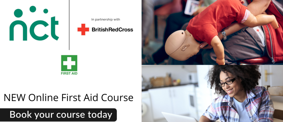 Image shows Fist aid session conducted by British Red Cross online