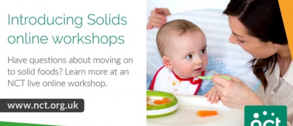Introducing Solids Online Workshop 